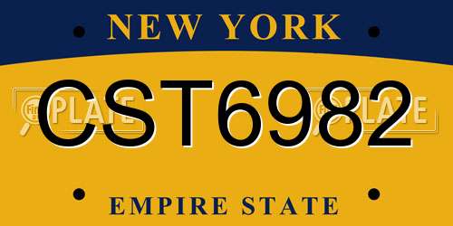 CST6982 New York License Plate