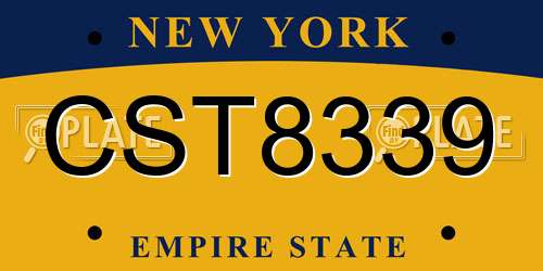 CST8339 New York License Plate