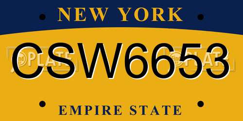 CSW6653 New York License Plate