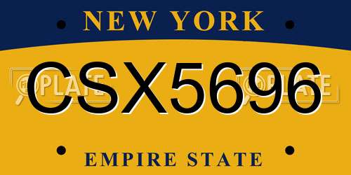 CSX5696 New York License Plate