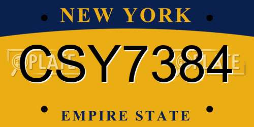 CSY7384 New York License Plate