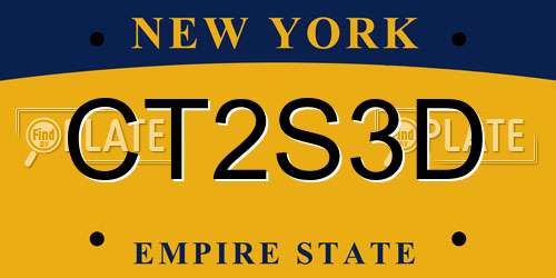 CT2S3D New York License Plate