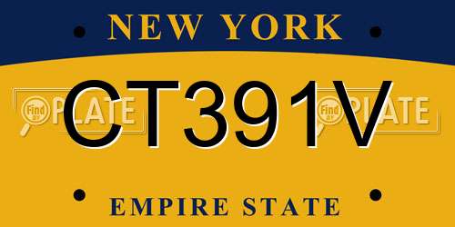 CT391V New York License Plate