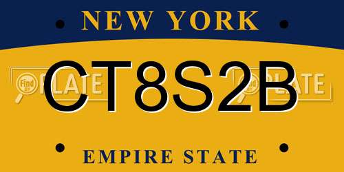 CT8S2B New York License Plate