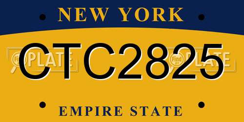 CTC2825 New York License Plate