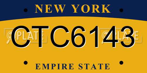 CTC6143 New York License Plate