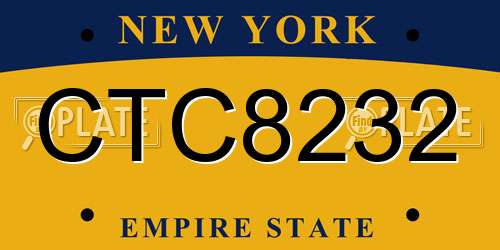 CTC8232 New York License Plate