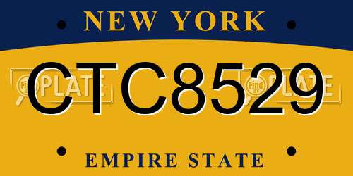 CTC8529 New York License Plate