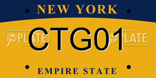 CTG01 New York License Plate