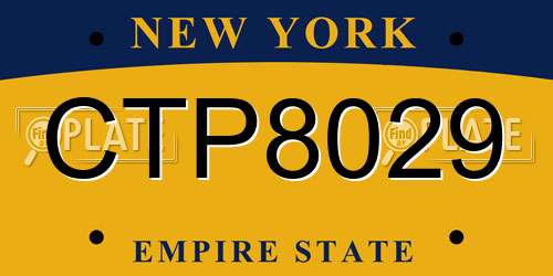 CTP8029 New York License Plate