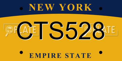 CTS528 New York License Plate