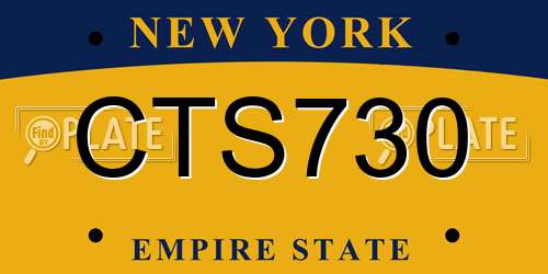 CTS730 New York License Plate