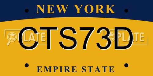 CTS73D New York License Plate
