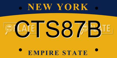CTS87B New York License Plate