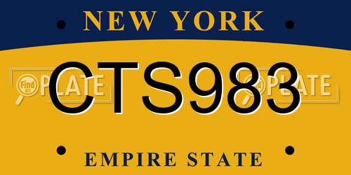 CTS983 New York License Plate