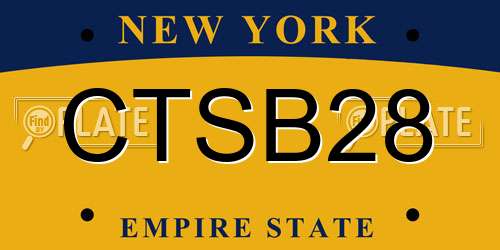 CTSB28 New York License Plate