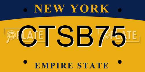 CTSB75 New York License Plate