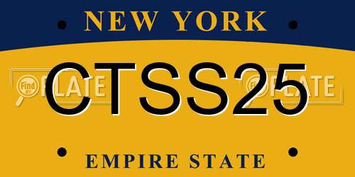 CTSS25 New York License Plate