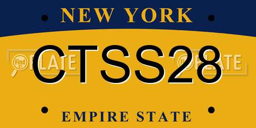 CTSS28 New York License Plate
