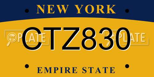 CTZ830 New York License Plate