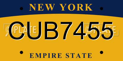 CUB7455 New York License Plate