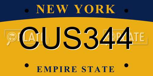CUS344 New York License Plate