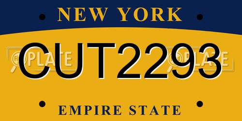 CUT2293 New York License Plate