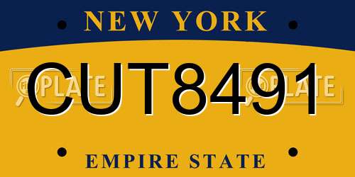 CUT8491 New York License Plate