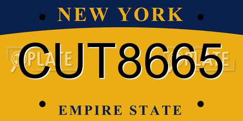 CUT8665 New York License Plate