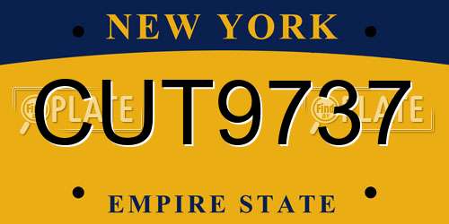 CUT9737 New York License Plate