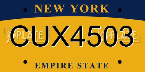 CUX4503 New York License Plate