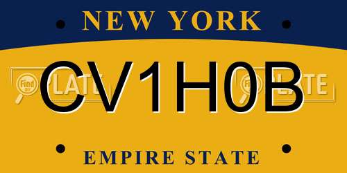 CV1H0B New York License Plate