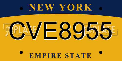 CVE8955 New York License Plate