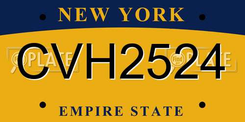 CVH2524 New York License Plate