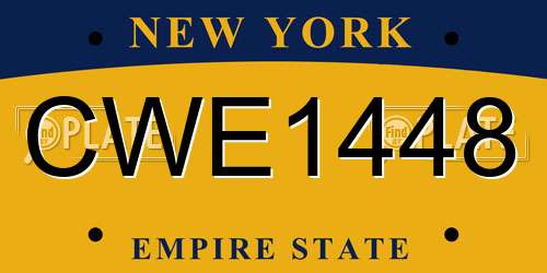 CWE1448 New York License Plate