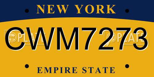 CWM7273 New York License Plate