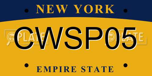 CWSP05 New York License Plate
