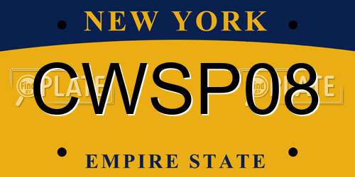 CWSP08 New York License Plate