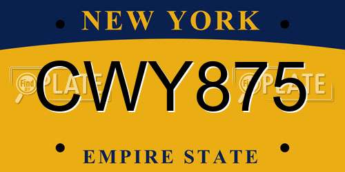 CWY875 New York License Plate