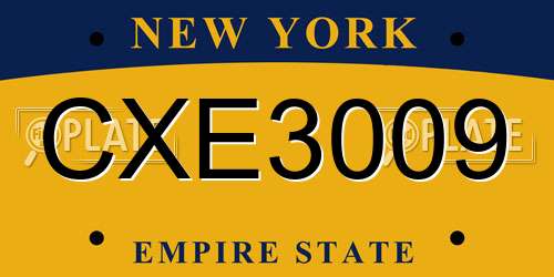 CXE3009 New York License Plate
