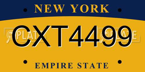 CXT4499 New York License Plate