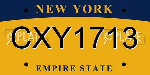 CXY1713 New York License Plate