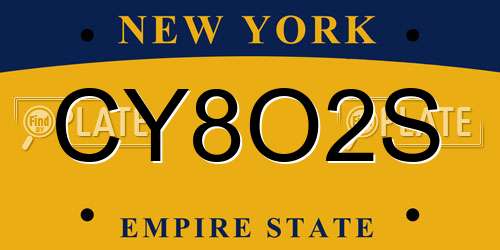 CY8O2S New York License Plate