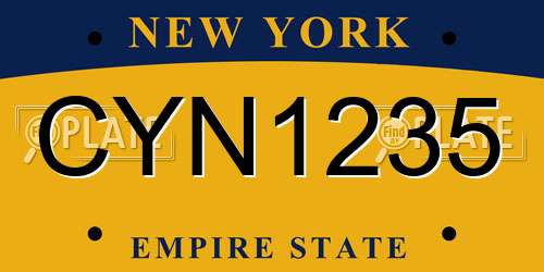 CYN1235 New York License Plate