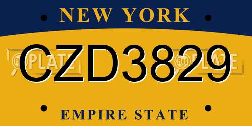 CZD3829 New York License Plate