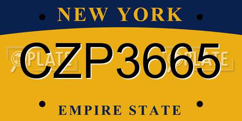 CZP3665 New York License Plate