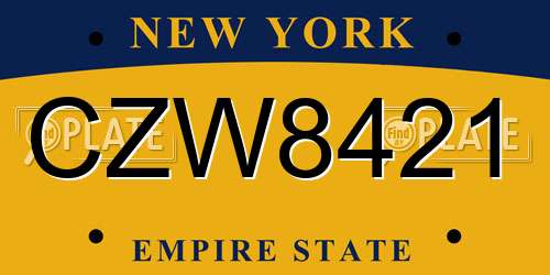 CZW8421 New York License Plate