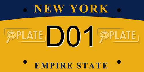 D01 New York License Plate