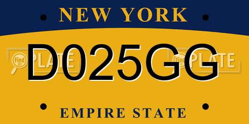 D025GG New York License Plate