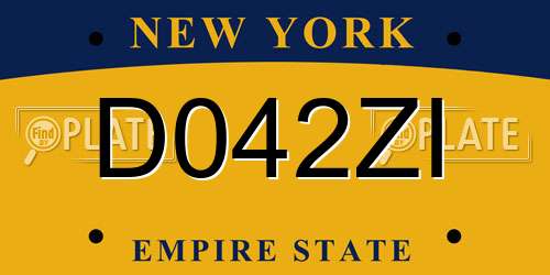 D042ZI New York License Plate